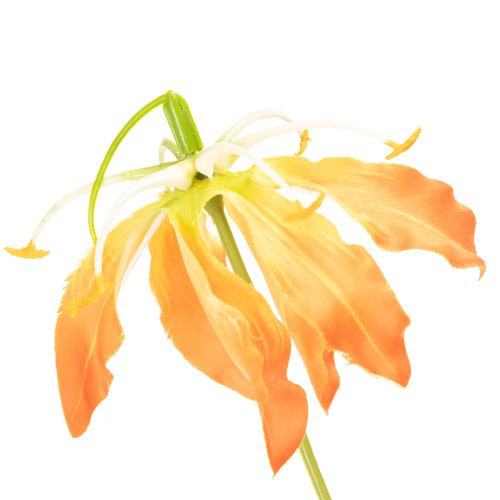 Künstliche Gloriosa Blumen orange mit langen Stielen 80 cm für Vasen 3er-Set | Floristik24.at