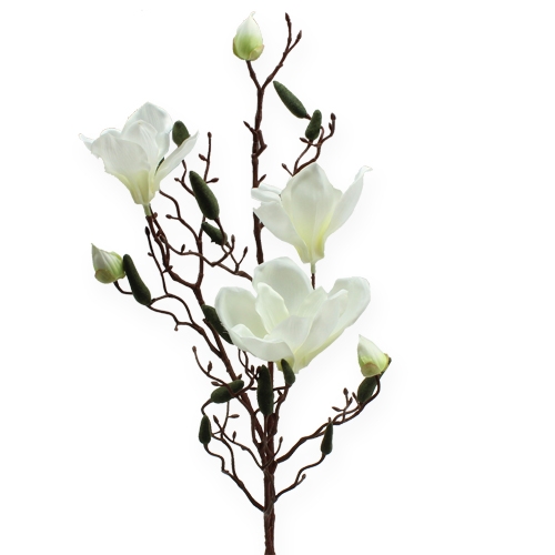 Floristik24 Magnolienzweig künstlich Creme 90cm