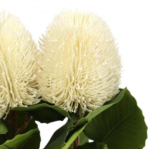 Artikel Kunstblumen, Banksia, Proteaceae Cremeweiß L58cm H6cm 3St
