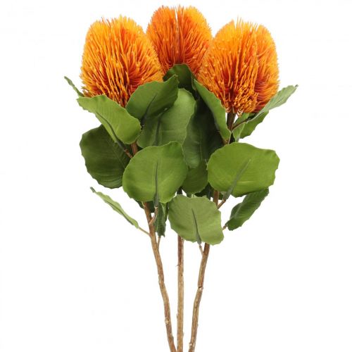 Floristik24 Kunstblumen, Banksia, Proteaceae Orange L58cm H6cm 3 St