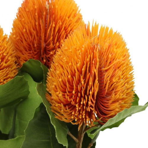 Artikel Kunstblumen, Banksia, Proteaceae Orange L58cm H6cm 3St