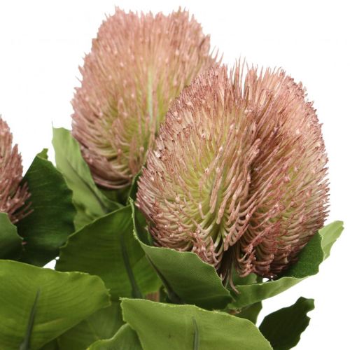 Artikel Kunstblumen, Banksia, Proteaceae Weiß-Lila L58cm H6cm