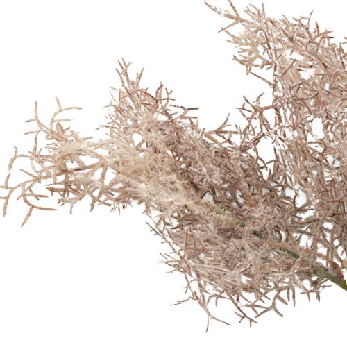 Floristik24 Kunstblumen Deko, Korallenzweig, Dekozweige Weiß Braun 40cm 4 St