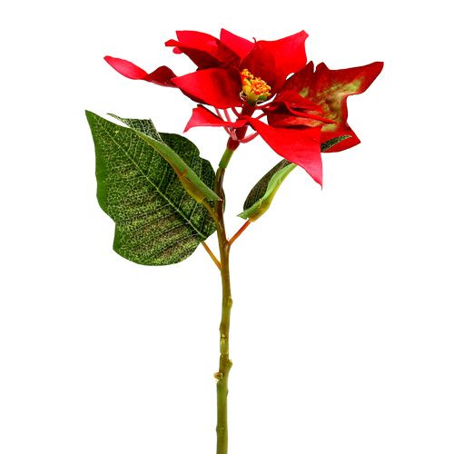 Floristik24 Kunstblumen Weihnachtsstern rot L26cm