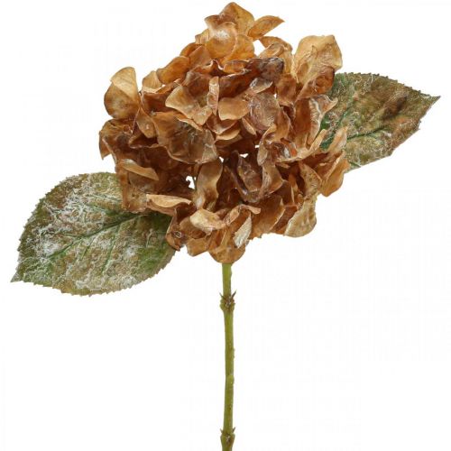 Kunstpflanze Hortensie vertrocknet Drylook Herbstdeko L33cm