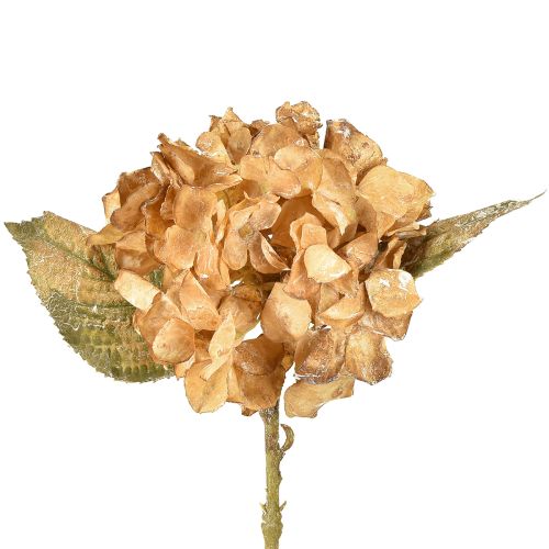 Artikel Kunstpflanze Hortensie vertrocknet Drylook Herbstdeko L33cm