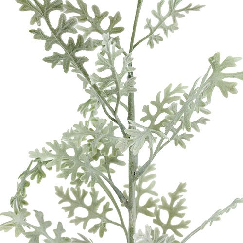 Floristik24 Kunstpflanzen Silberblatt weiß-grün 40cm 6St
