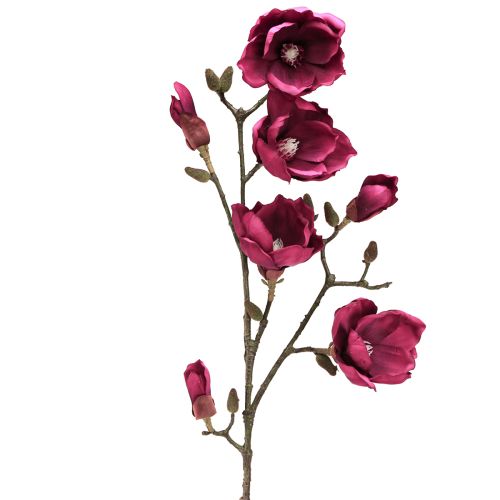 Floristik24 Kunstzweig Magnolie Künstlich Blüten Bordeaux L100cm
