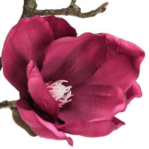 Artikel Kunstzweig Magnolie Künstlich Blüten Bordeaux L100cm