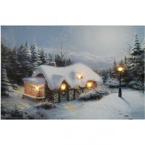 Floristik24 LED Bild Weihnachten Winterlandschaft mit Haus LED Wandbild 58x38cm