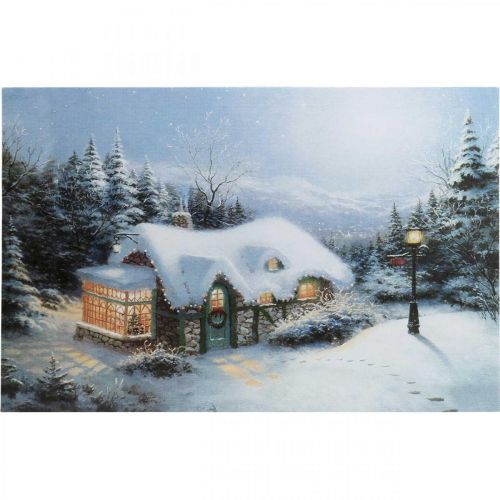 Floristik24 LED Bild Weihnachten Winterlandschaft mit Haus LED Wandbild 58x38cm