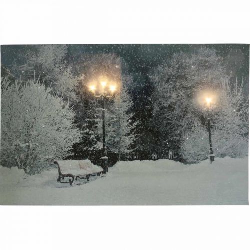 Floristik24 LED Bild Weihnachten Winterlandschaft mit Parkbank LED Wandbild 58x38cm