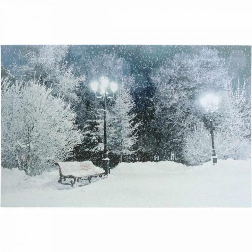 Floristik24 LED Bild Weihnachten Winterlandschaft mit Parkbank LED Wandbild 58x38cm