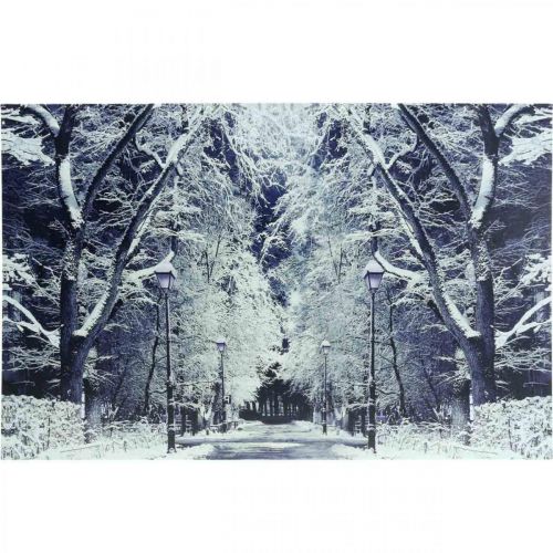 Floristik24 LED Bild Winterlandschaft Park mit Laternen LED Wandbild 58x38cm