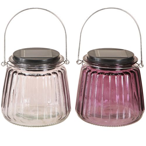 LED Gartenleuchte Glas Solar zum Hängen Lila Ø10,5cm 2St