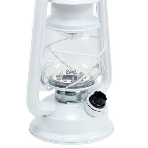 Floristik24 LED-Laterne dimmbar Warmweiß 24,5cm mit 15 Lampen