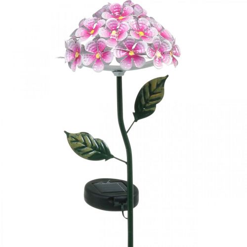 Floristik24 Solar-Blume, LED-Gartendeko, Deko-Chrysantheme Rosa L55cm Ø15cm