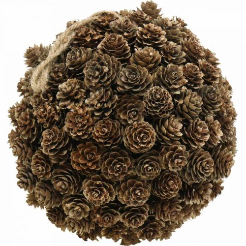 Floristik24 Lärchenzapfen Kugel Deko mit Zapfen zum Hängen Natur Ø20cm