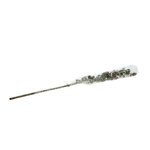 Floristik24 Lärchenzweig mit Zapfen, beschneit 92cm