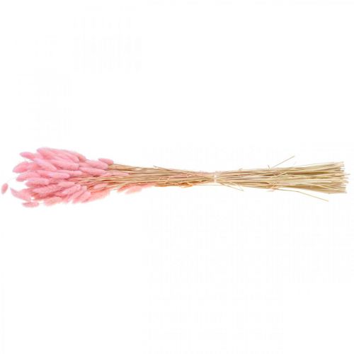 Floristik24 Lagurus getrocknet Hasenschwanzgras Hellrosa 65-70cm 100g