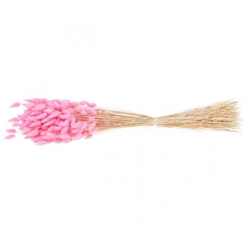 Artikel Lagurus Getrocknet Hasenschwanzgras Pink 65-70cm 100g