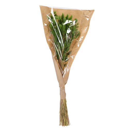 Lagurus getrocknet 65-70cm Olivgrün 75g Trockenblume für Dekoration | Floristik24.at