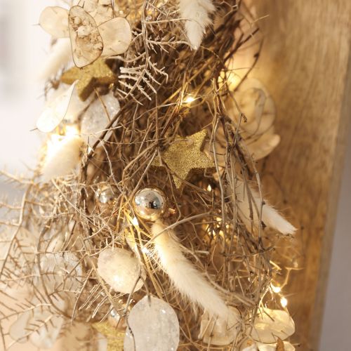 Lagurus Trockenblumen Cremeweiß 55-70cm 100g Hasenschwanzgras | Floristik24.at