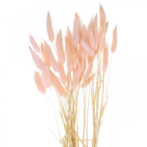 Deko-Gras Rosa, Lagurus, Naturdeko, Trockenfloristik L45–50cm 30St
