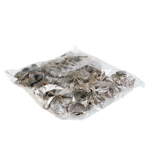 Artikel Landlotus Weiß gewaschen 6-12cm 50St