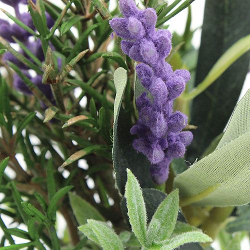 Floristik24 Lavendel-Rosmarin Bund 20cm