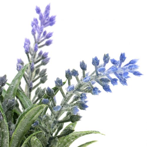Floristik24 Lavendel im Glas H15cm
