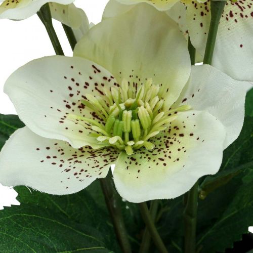 Floristik24.at Lenzrose Nieswurz Christrose Topf Kunstblumen H25cm Weiß