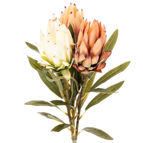 Künstliche Protea Leucadendron mit langem Stiel 65 cm, 3er-Set, Creme, Gelb, Orange bestellen | Floristik24.at