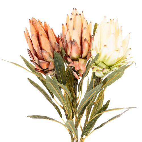Künstliche Protea Leucadendron mit langem Stiel 65 cm, 3er-Set, Creme, Gelb, Orange | Floristik24.at