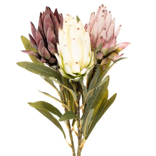 Protea Kunstblume Leucadendron 100 cm 3er-Set Creme, Bordeaux, Rosa | Floristik24.at