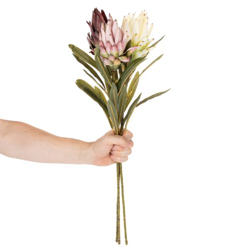 Protea Kunstblume Leucadendron 100 cm 3er-Set Creme, Bordeaux, Rosa | Floristik24.at