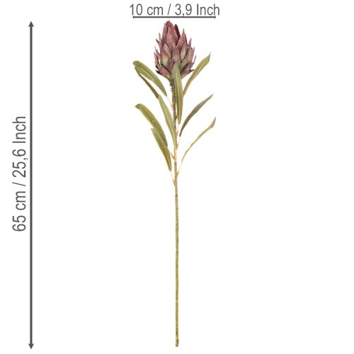 Protea Kunstblume Leucadendron 100 cm 3er-Set Creme, Bordeaux, Rosa | Floristik24.at