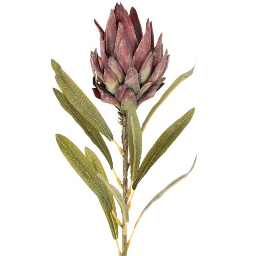 Protea Kunstblumen