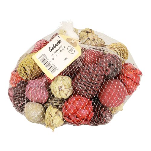 Artikel Leucadendron Zapfen Bellgum Grün Rot Gelb Gefrostet 300g