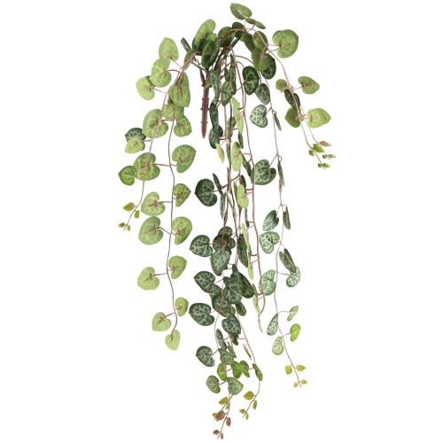 Artikel Leuchterblume Künstliche Zimmerpflanze Hängend 40cm 2St