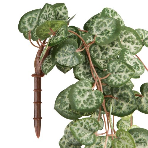 Artikel Leuchterblume Künstliche Zimmerpflanze Hängend 40cm 2St