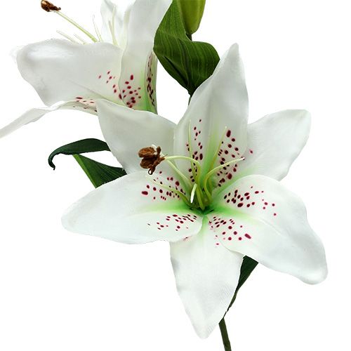 Floristik24 Lilie Weiß 66cm