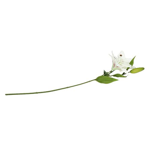 Floristik24 Lilie Weiß 66cm