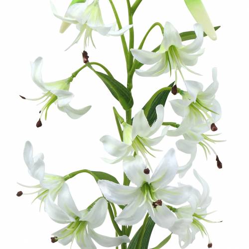 Floristik24 Lilie Weiß 82cm