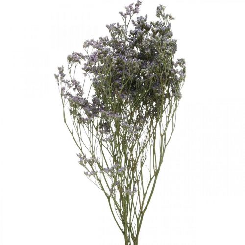 Floristik24 Trockenfloristik, Strandflieder, Statice Tatarica, Meerlavendel, Limonium Violett L45–50cm 30g