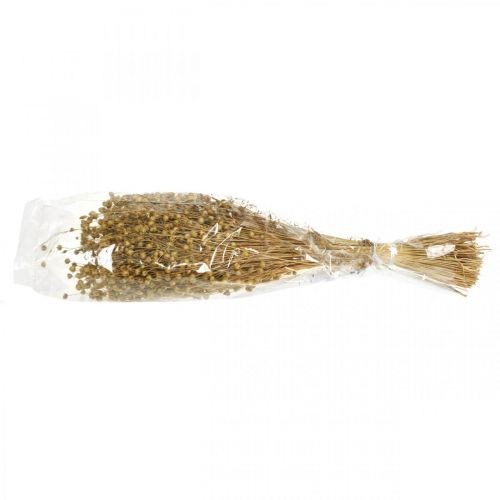 Floristik24 Natürlicher Flachs, Gräser für Trockenfloristik, Linum Naturprodukt 160g