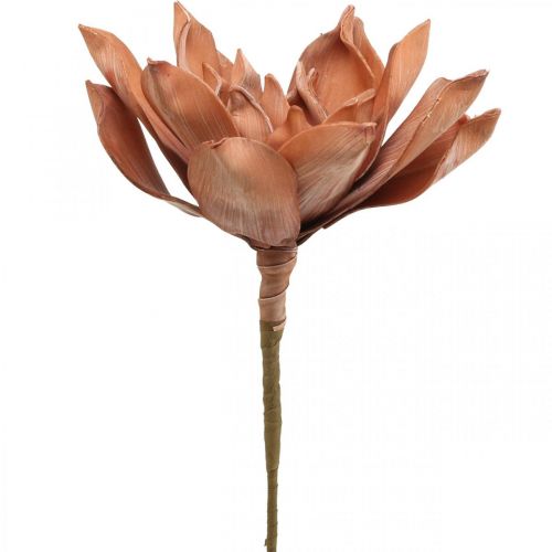 Lotusblume, Kunstpflanze, künstliche Lotusblüte Braun L64cm