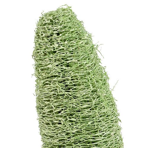 Artikel Luffa groß am Stiel Grün 25 St