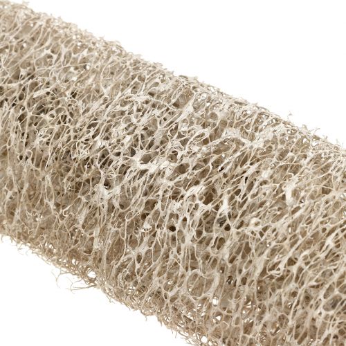 Artikel Luffa groß Weiß gewaschen 20 St