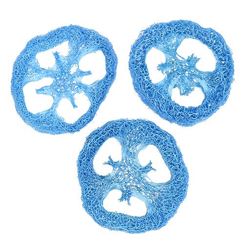 Floristik24 Luffa Scheiben Himmelblau 25 St